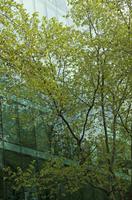 Cjp_2015_05_01_083822 (2).jpg